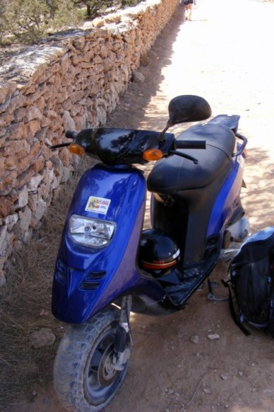 scoot